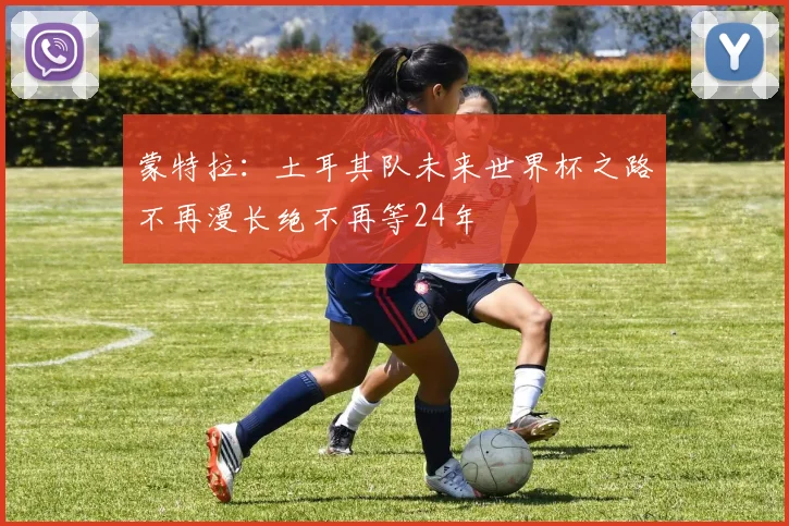 蒙特拉：土耳其队未来世界杯之路不再漫长绝不再等24年